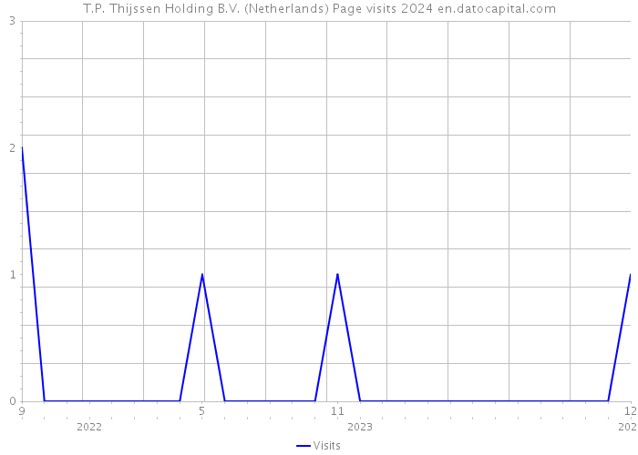 T.P. Thijssen Holding B.V. (Netherlands) Page visits 2024 