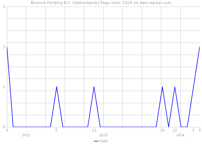 Brunink Holding B.V. (Netherlands) Page visits 2024 