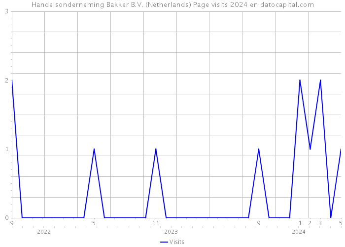 Handelsonderneming Bakker B.V. (Netherlands) Page visits 2024 