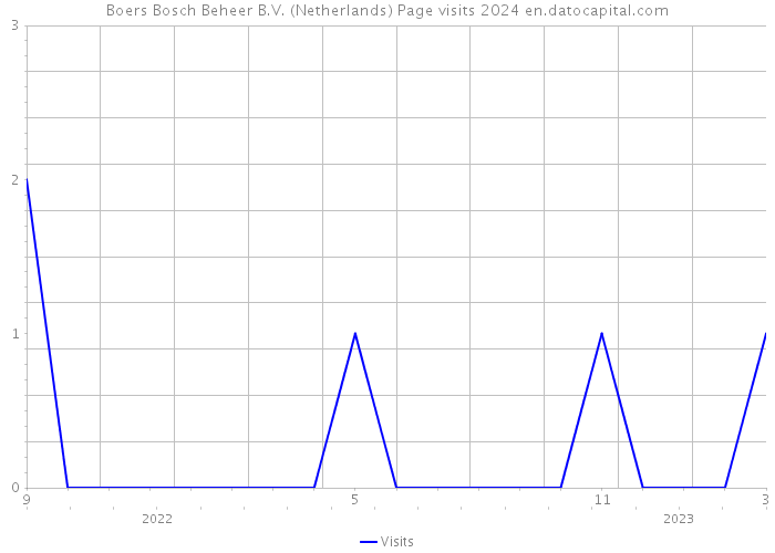 Boers Bosch Beheer B.V. (Netherlands) Page visits 2024 