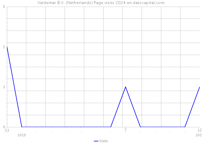 Valdemar B.V. (Netherlands) Page visits 2024 