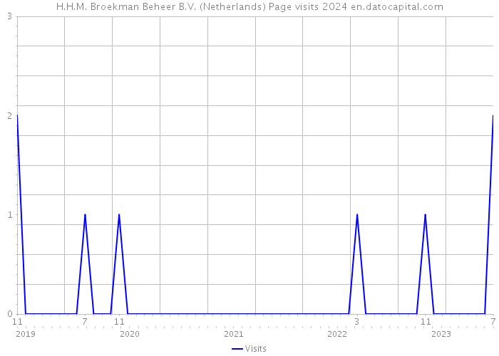 H.H.M. Broekman Beheer B.V. (Netherlands) Page visits 2024 