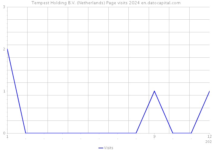 Tempest Holding B.V. (Netherlands) Page visits 2024 