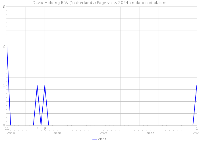 David Holding B.V. (Netherlands) Page visits 2024 
