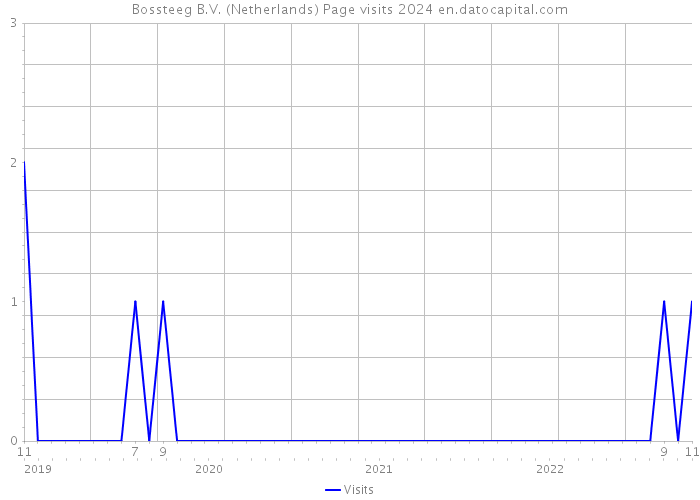 Bossteeg B.V. (Netherlands) Page visits 2024 