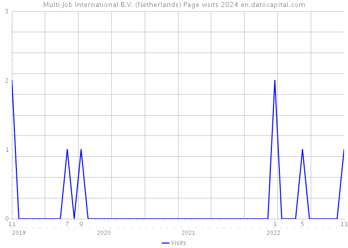 Multi Job International B.V. (Netherlands) Page visits 2024 