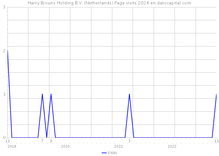 Harry Brouns Holding B.V. (Netherlands) Page visits 2024 