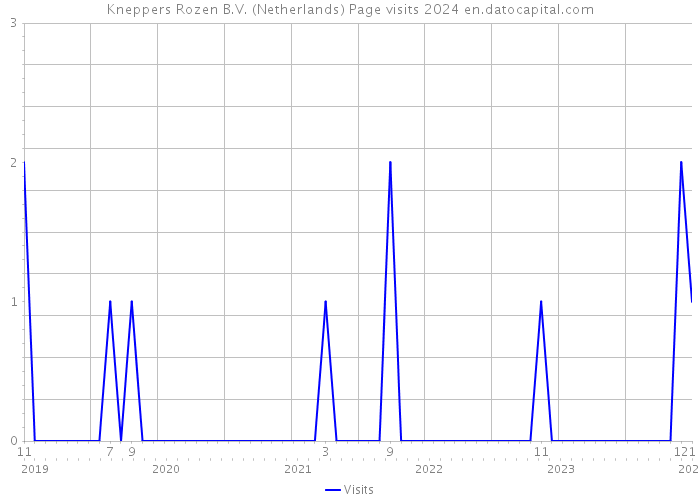 Kneppers Rozen B.V. (Netherlands) Page visits 2024 