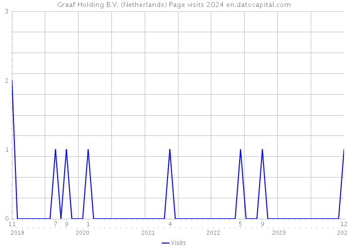 Graaf Holding B.V. (Netherlands) Page visits 2024 
