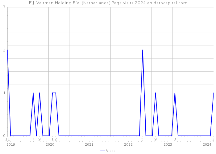 E.J. Veltman Holding B.V. (Netherlands) Page visits 2024 