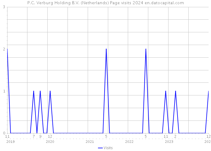 P.C. Verburg Holding B.V. (Netherlands) Page visits 2024 