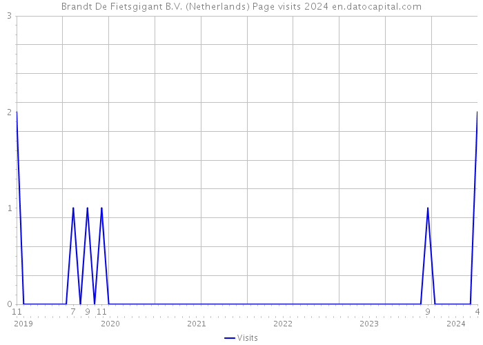 Brandt De Fietsgigant B.V. (Netherlands) Page visits 2024 