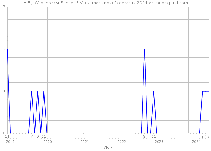 H.E.J. Wildenbeest Beheer B.V. (Netherlands) Page visits 2024 