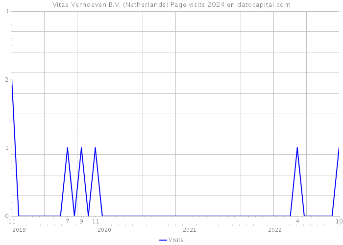 Vitae Verhoeven B.V. (Netherlands) Page visits 2024 