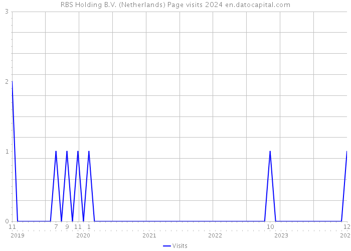RBS Holding B.V. (Netherlands) Page visits 2024 