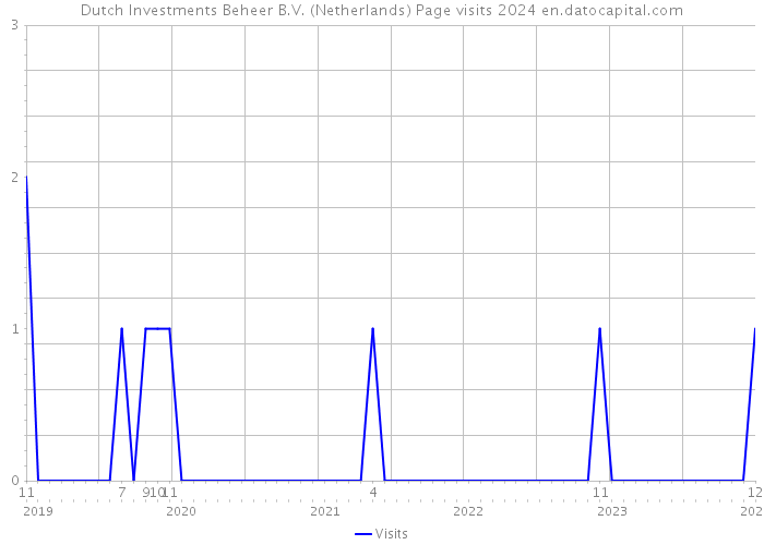 Dutch Investments Beheer B.V. (Netherlands) Page visits 2024 
