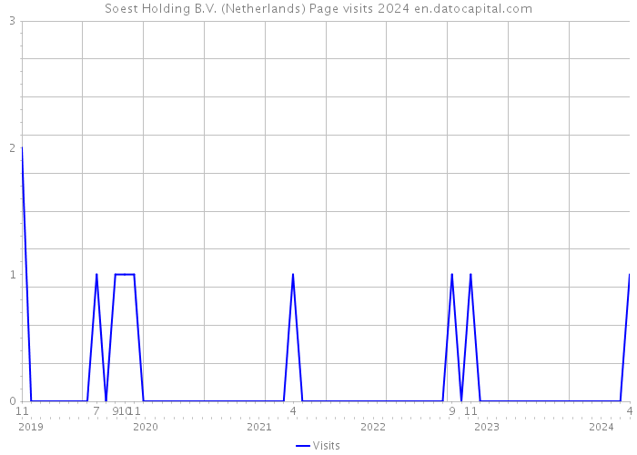 Soest Holding B.V. (Netherlands) Page visits 2024 