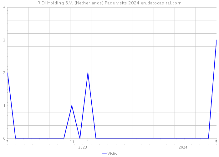 RIDI Holding B.V. (Netherlands) Page visits 2024 