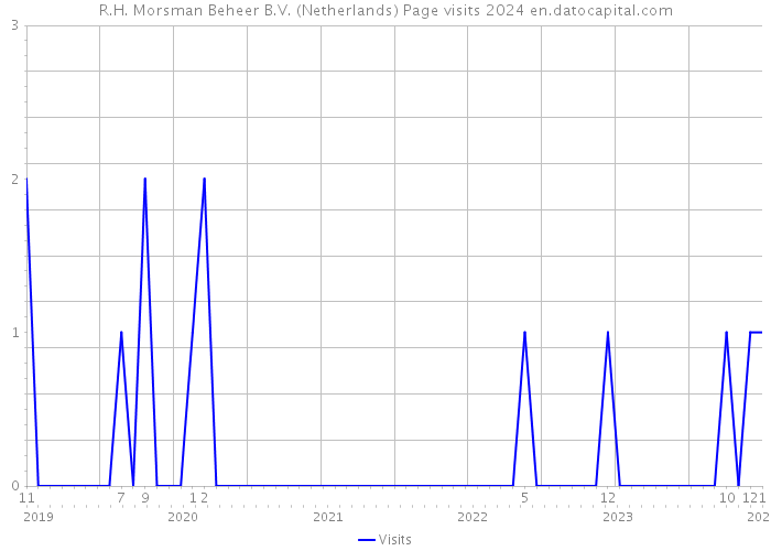 R.H. Morsman Beheer B.V. (Netherlands) Page visits 2024 