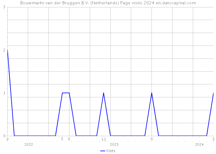 Bouwmarkt van der Bruggen B.V. (Netherlands) Page visits 2024 