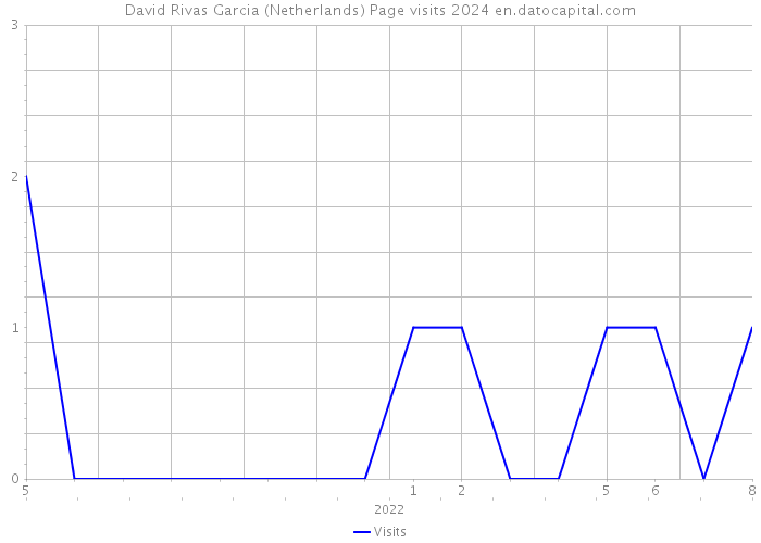 David Rivas Garcia (Netherlands) Page visits 2024 