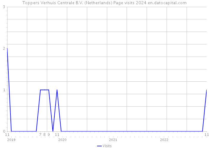 Toppers Verhuis Centrale B.V. (Netherlands) Page visits 2024 
