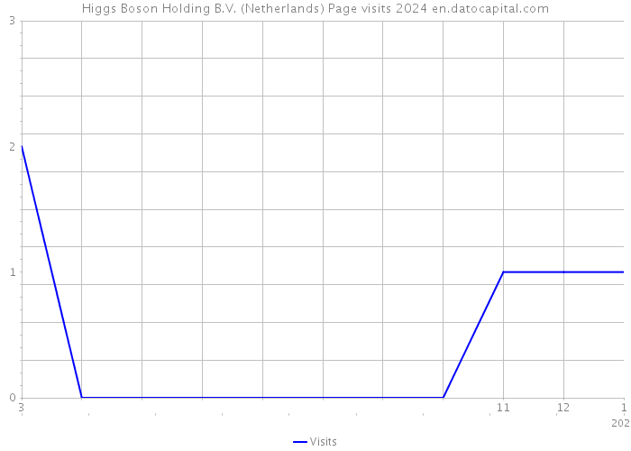 Higgs Boson Holding B.V. (Netherlands) Page visits 2024 