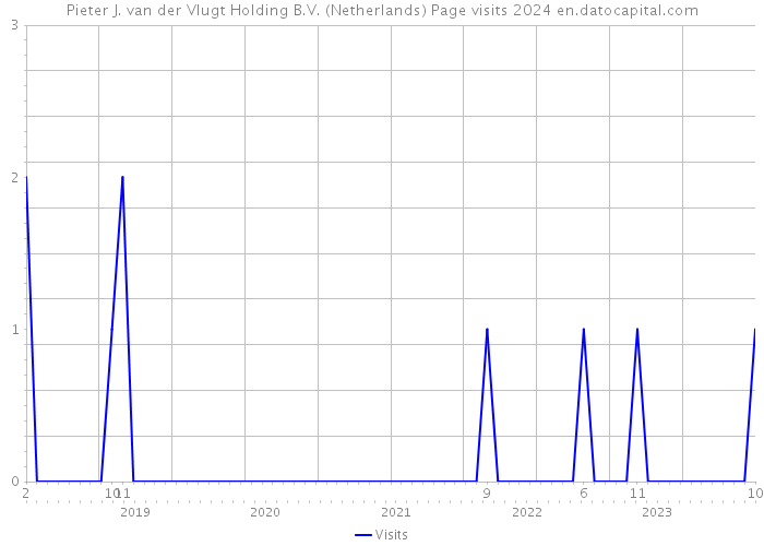 Pieter J. van der Vlugt Holding B.V. (Netherlands) Page visits 2024 