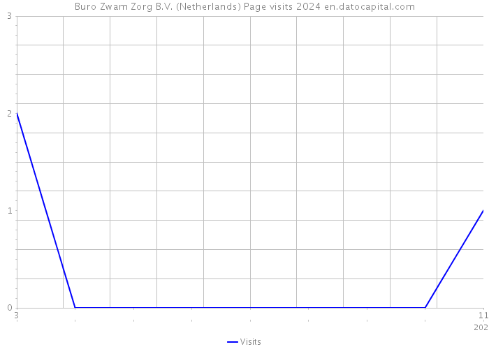Buro Zwam Zorg B.V. (Netherlands) Page visits 2024 