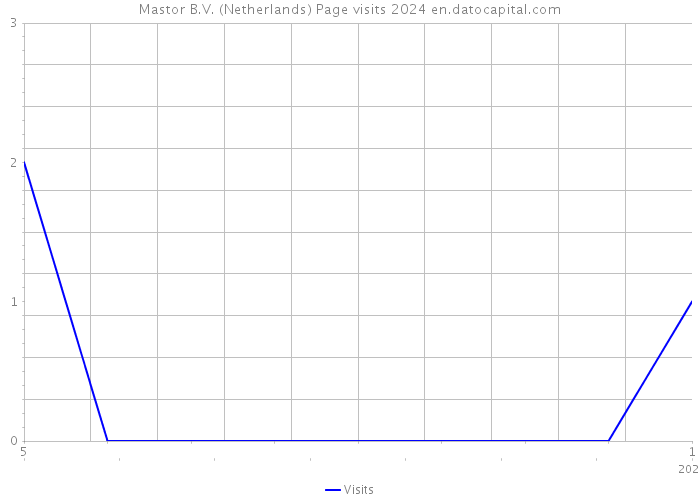 Mastor B.V. (Netherlands) Page visits 2024 