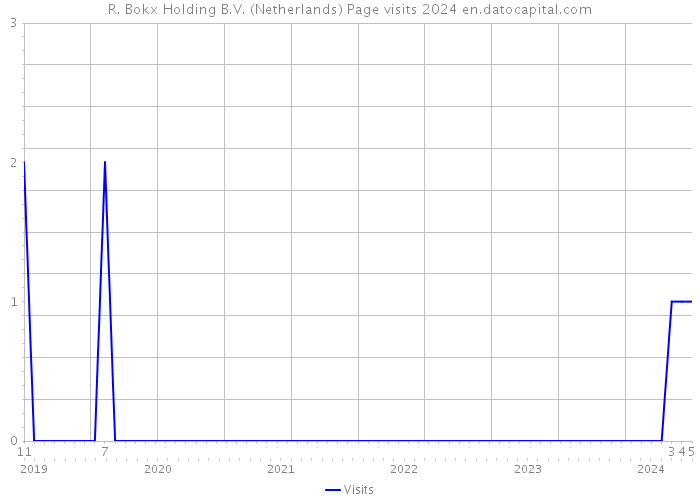 R. Bokx Holding B.V. (Netherlands) Page visits 2024 
