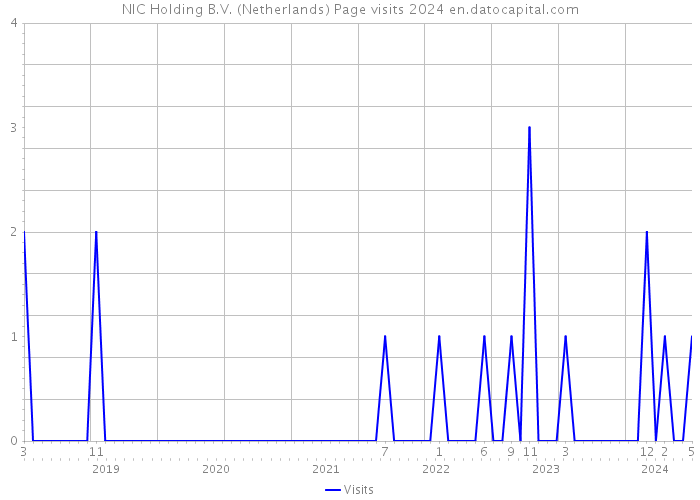 NIC Holding B.V. (Netherlands) Page visits 2024 