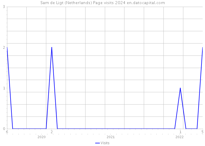 Sam de Ligt (Netherlands) Page visits 2024 