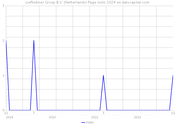 Liefhebber Groep B.V. (Netherlands) Page visits 2024 
