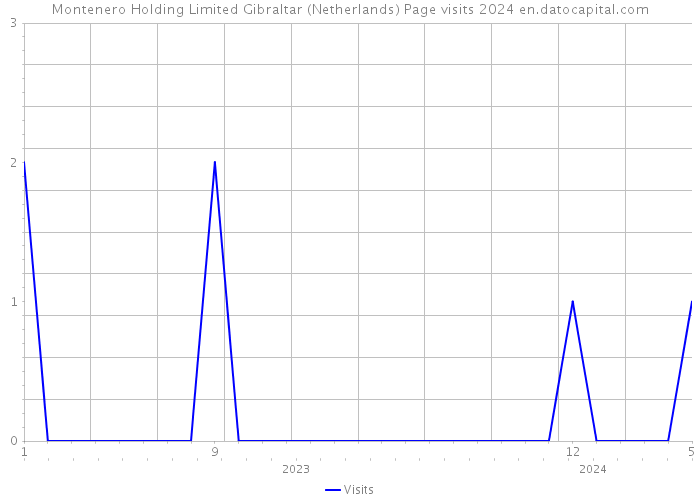 Montenero Holding Limited Gibraltar (Netherlands) Page visits 2024 