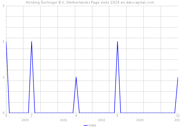 Holding Durlinger B.V. (Netherlands) Page visits 2024 