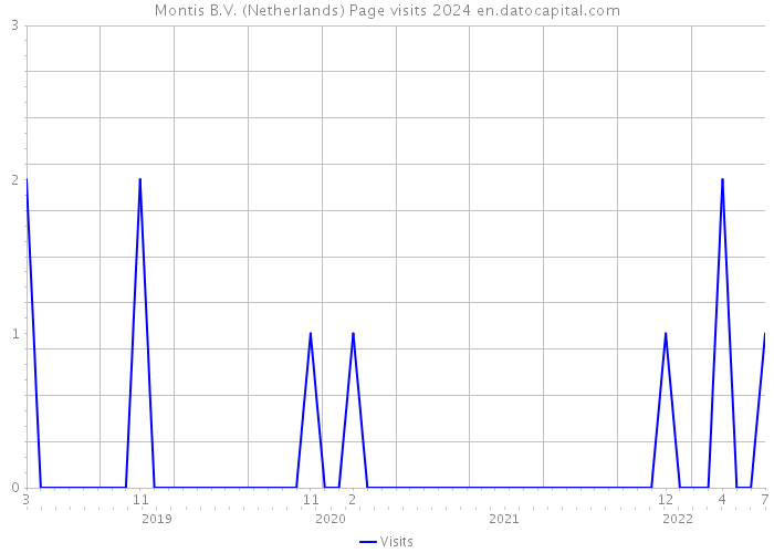 Montis B.V. (Netherlands) Page visits 2024 