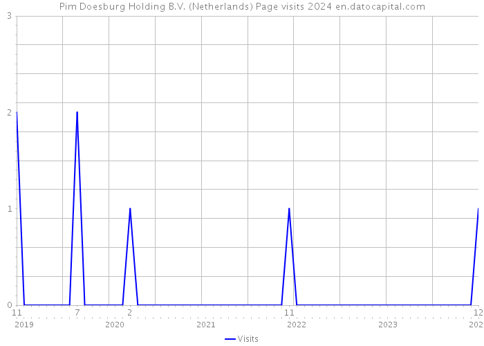 Pim Doesburg Holding B.V. (Netherlands) Page visits 2024 