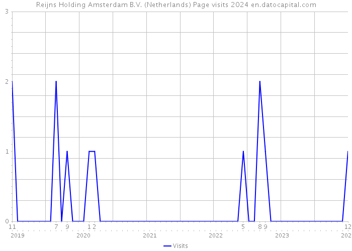 Reijns Holding Amsterdam B.V. (Netherlands) Page visits 2024 