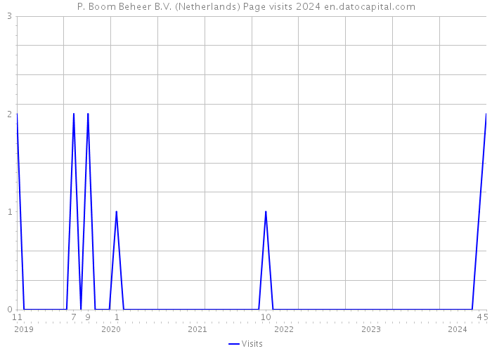 P. Boom Beheer B.V. (Netherlands) Page visits 2024 