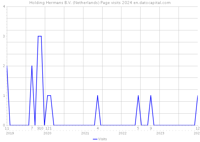 Holding Hermans B.V. (Netherlands) Page visits 2024 