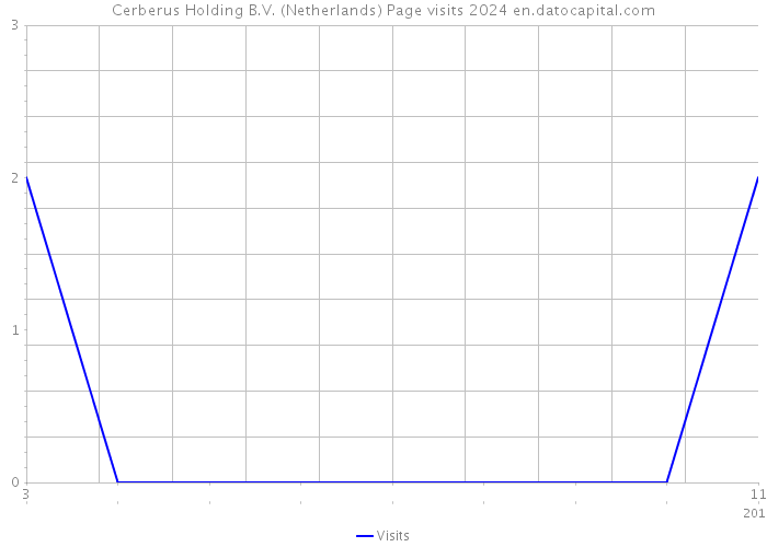 Cerberus Holding B.V. (Netherlands) Page visits 2024 