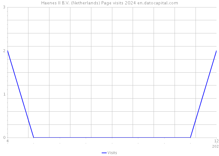 Haenes II B.V. (Netherlands) Page visits 2024 