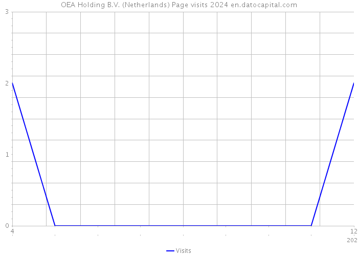 OEA Holding B.V. (Netherlands) Page visits 2024 