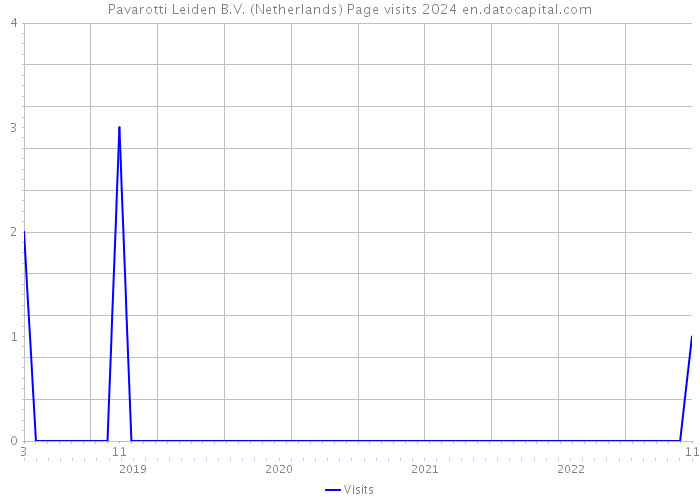 Pavarotti Leiden B.V. (Netherlands) Page visits 2024 