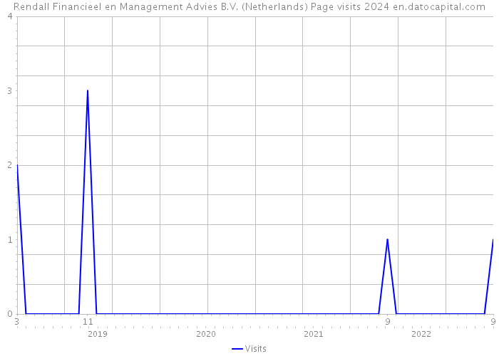 Rendall Financieel en Management Advies B.V. (Netherlands) Page visits 2024 