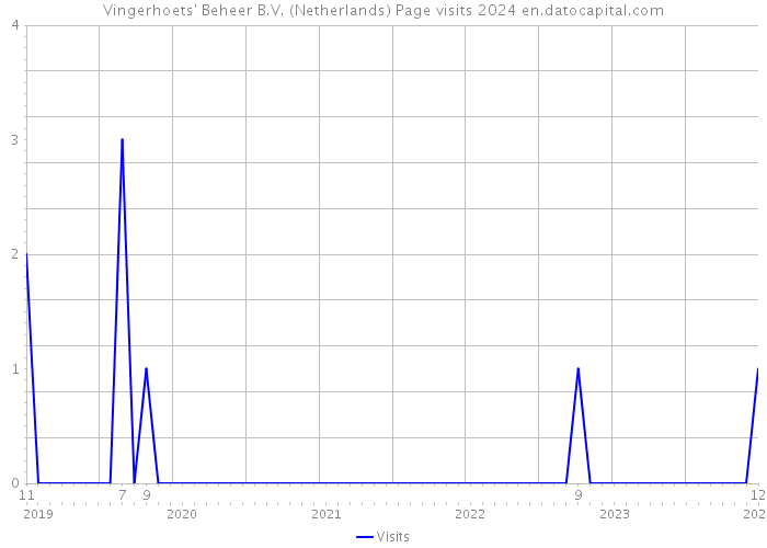 Vingerhoets' Beheer B.V. (Netherlands) Page visits 2024 