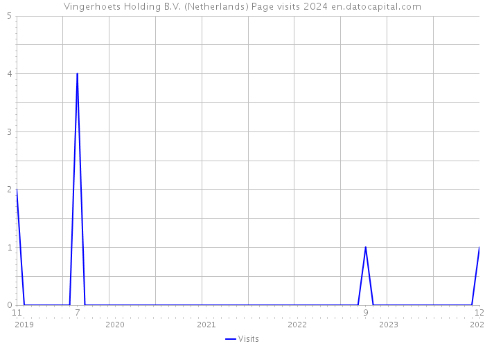 Vingerhoets Holding B.V. (Netherlands) Page visits 2024 
