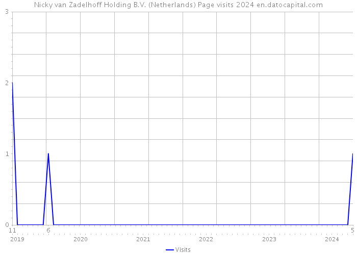 Nicky van Zadelhoff Holding B.V. (Netherlands) Page visits 2024 