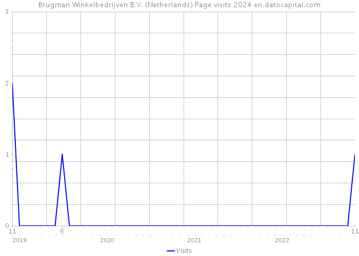 Brugman Winkelbedrijven B.V. (Netherlands) Page visits 2024 